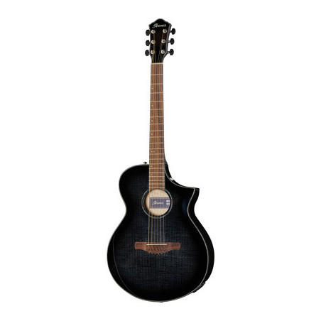 Ibanez AEWC400 TKS
