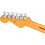 Fender American Professional II Stratocaster RW MYST SFG