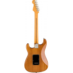 Fender American Professional II Stratocaster RW RST PINE