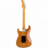 Fender American Professional II Stratocaster RW RST PINE
