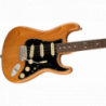 Fender American Professional II Stratocaster RW RST PINE