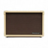 Blackstar Acoustic Core 30