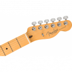 Fender American Professional II Telecaster MN RST PINE