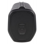 Bose L1 Pro16
