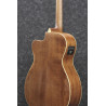 Ibanez AVC11CE ANS