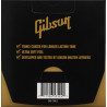 Gibson Coated Phosphor Bronze 12-53
