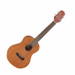 Takamine GUT1