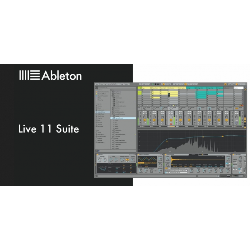 Ableton Live 11 Suite - digital