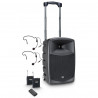 LD Systems LDRBUD10BPH2