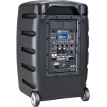 LD Systems LDRBUD10BASIC