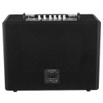 Phil Jones Bass S-77