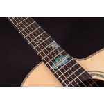 Washburn BTS C56 SCE N