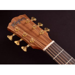 Washburn BTS C56 SCE N