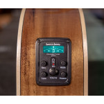 Washburn BTS C56 SCE N