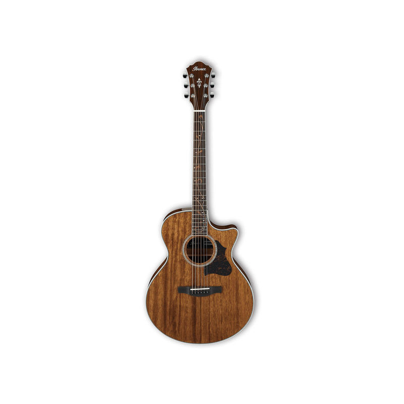 Ibanez AE245 NT