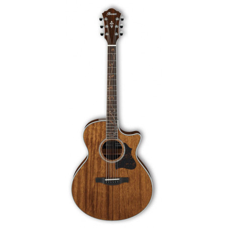Ibanez AE245 NT
