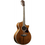Ibanez AE245 NT