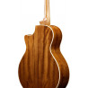 Ibanez AE245 NT