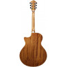 Ibanez AE245 NT