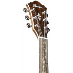 Ibanez AE245 NT