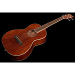 Ibanez PNB14E OPN