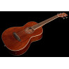 Ibanez PNB14E OPN