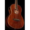 Ibanez PNB14E OPN