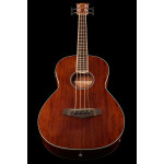 Ibanez PNB14E OPN