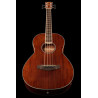 Ibanez PNB14E OPN