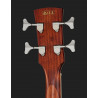 Ibanez PNB14E OPN