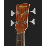 Ibanez PNB14E OPN