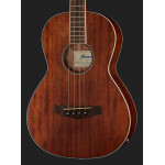 Ibanez PNB14E OPN