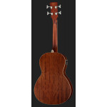 Ibanez PNB14E OPN