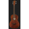 Ibanez PNB14E OPN