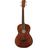 Ibanez PNB14E OPN