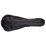 Harley Benton UK-12 Stain Ash NT
