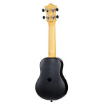 Flight TUS Sunset EE