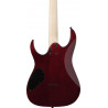 Ibanez GRGR221PA-AQB