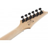 Ibanez GRGR221PA-AQB