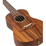 Flight DUC440 Acacia