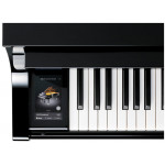 Kawai NV10 - Novus