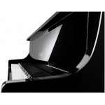 Kawai NV10 - Novus