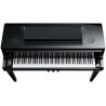 Kawai NV10 - Novus