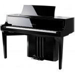 Kawai NV10 - Novus