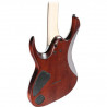Ibanez RGA42FM DEF
