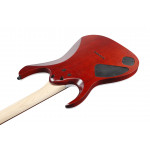 Ibanez RGA42FM TGF