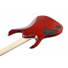 Ibanez RGA42FM TGF