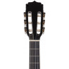 Aria Fiesta FST-200 BK