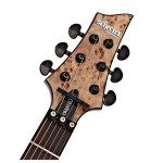 Schecter Omen Elite-6 FR CHAR