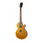 Gibson Slash Les Paul Standard DG Goldtop Dark Back